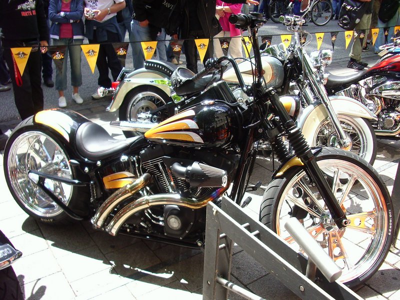 IMG_5347.jpg - My beautiful picture