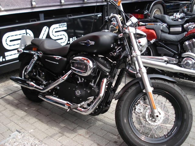 Harley_on_Tour_44.JPG