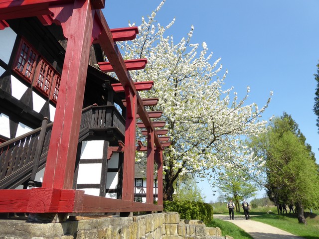 Auftaktfahrt Mühlenmuseum Gifhorn 20.04.-21.04.18 116.jpg