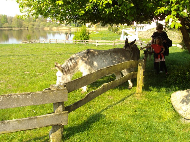 Auftaktfahrt Mühlenmuseum Gifhorn 20.04.-21.04.18 60.jpg -                                