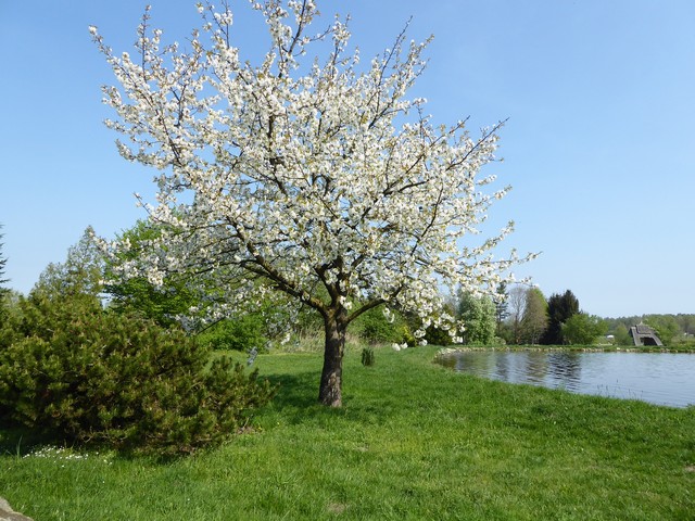 Auftaktfahrt Mühlenmuseum Gifhorn 20.04.-21.04.18 92.jpg